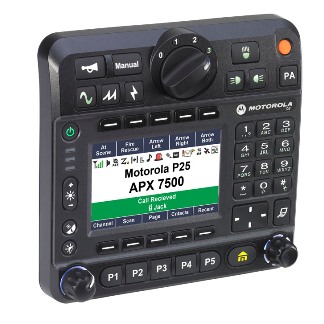 apx750009head.jpg